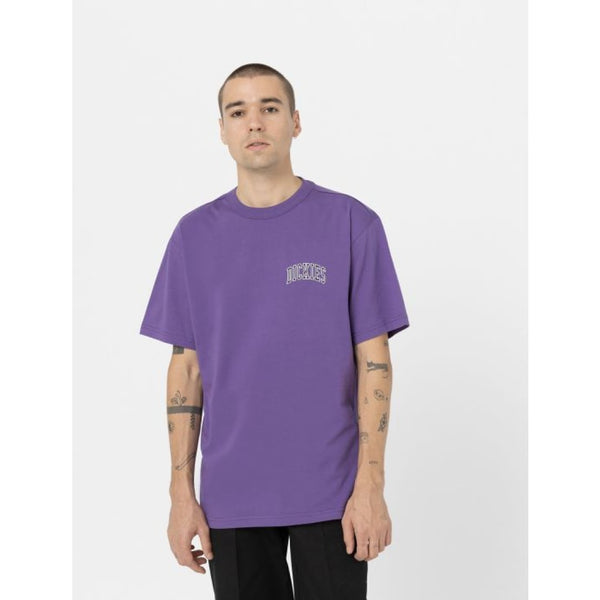 T-shirt Dickies Aitkin Chest Purple Imperial Palace
