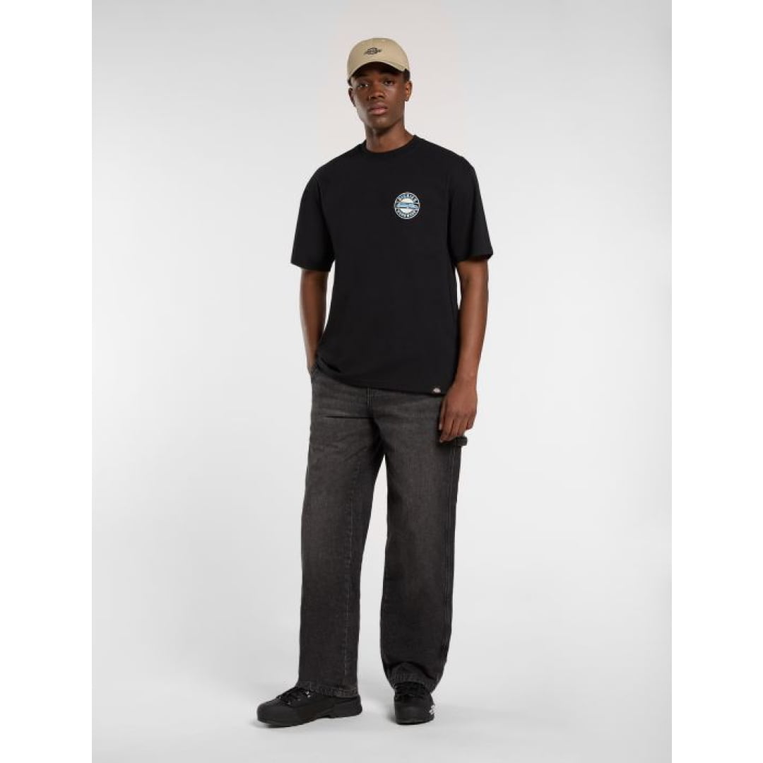 T-shirt Dickies Circle Black - Insidshop.com