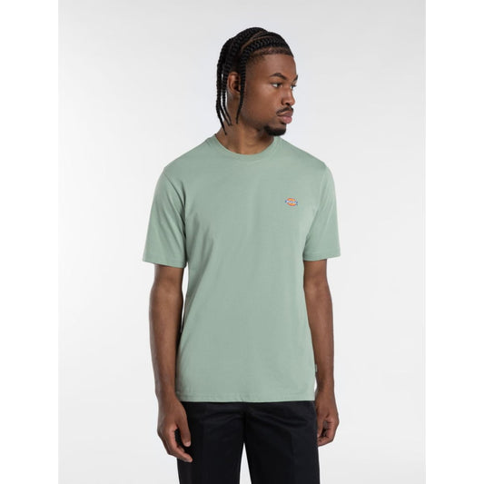 T-shirt Dickies Mapleton Iceberg Green - Insidshop.com