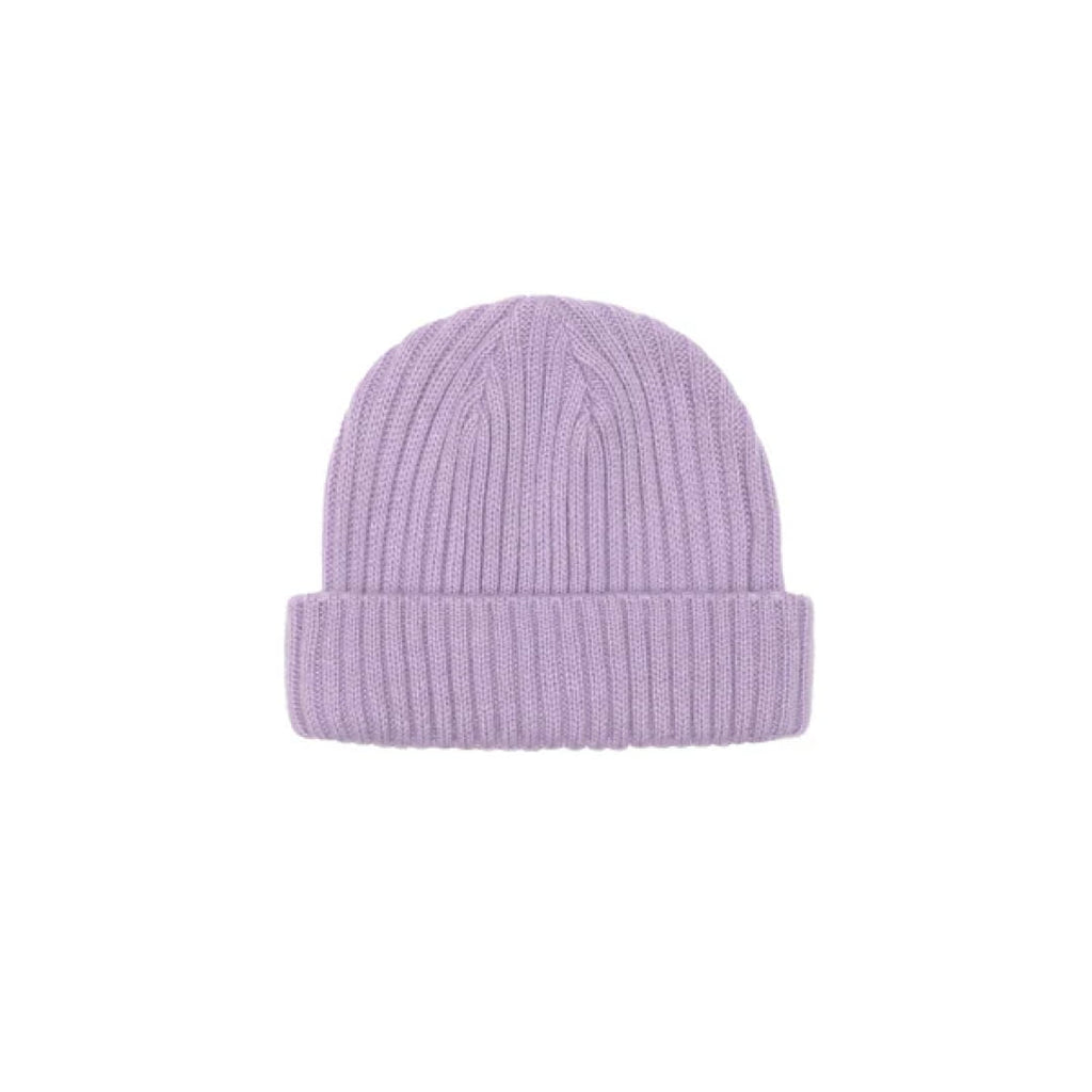 Bonnet Jacker Team Short Beanie Lavender - Black