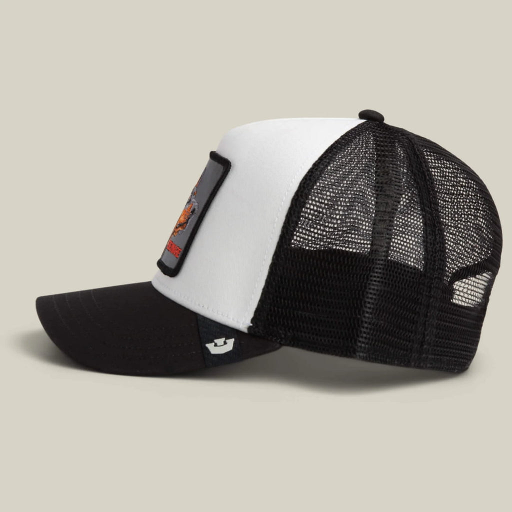 Casquette Goorin Bros Beware of Dog Dust Void - Unique / Of