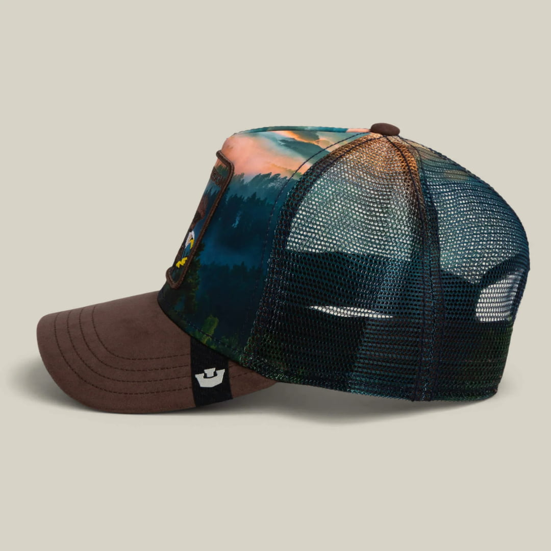 Casquette Goorin Bros Eagle In The Element Ground - Unique