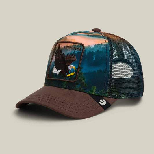 Casquette Goorin Bros Eagle In The Element Ground - Unique