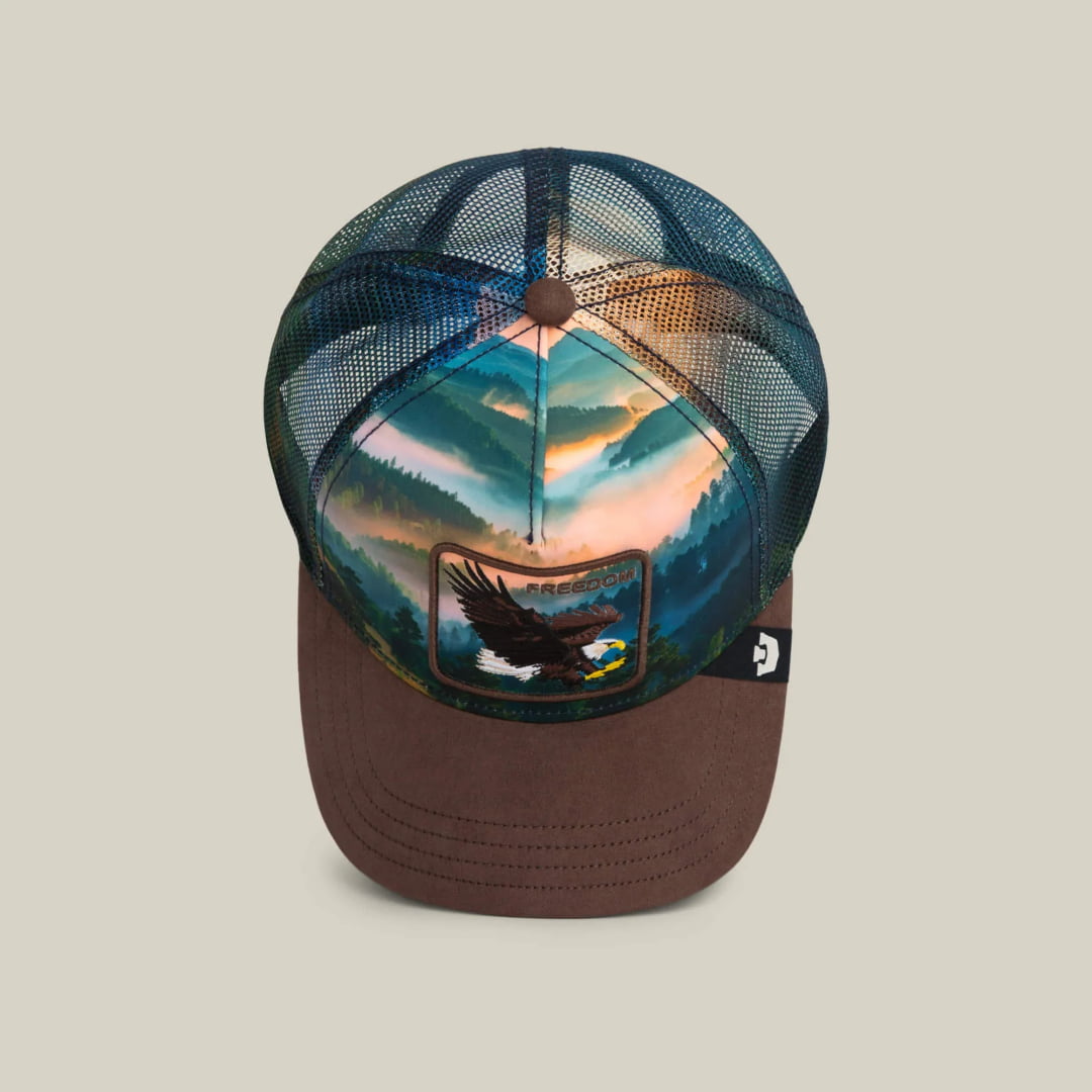 Casquette Goorin Bros Eagle In The Element Ground - Unique