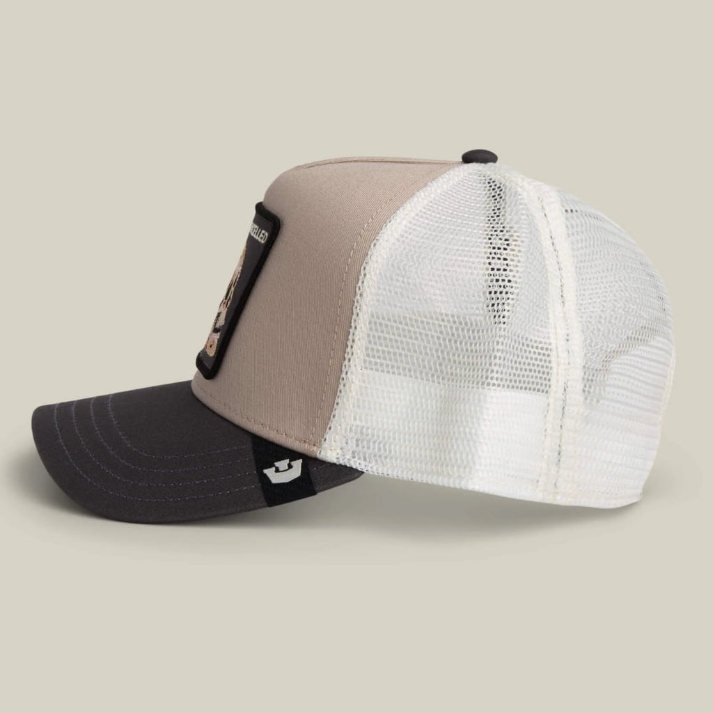 Casquette Goorin Bros The Cancelled Skull Multicolor