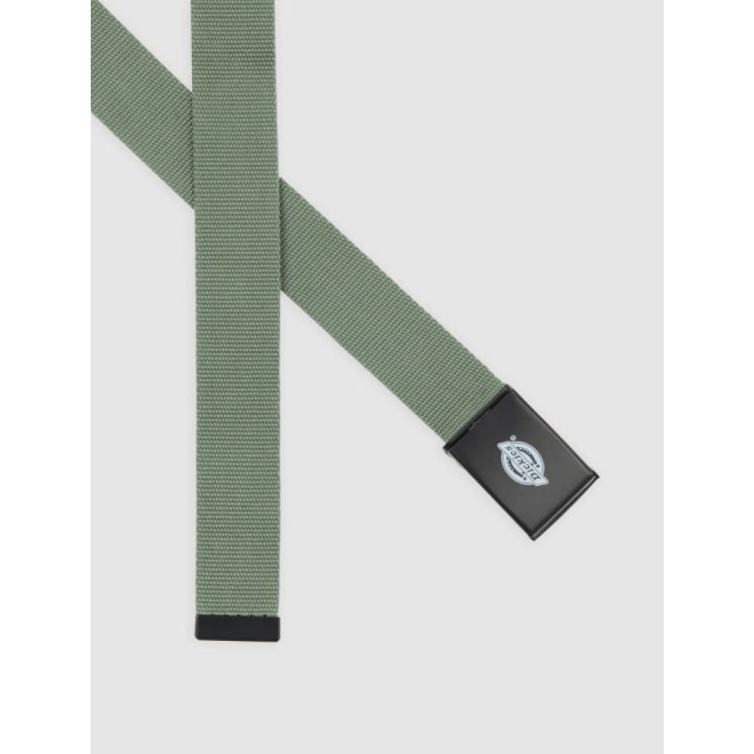 Ceinture Dickies Orcutt Sea Spray Unique / Insidshop.com