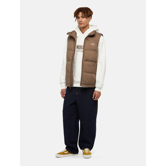 Doudoune Sans Manches Dickies Waldenburg Mushroom