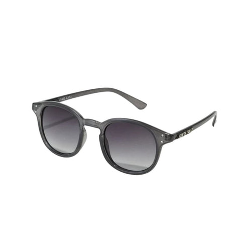 Lunettes de Soleil Santa Cruz Watson Sunglasses Frosted