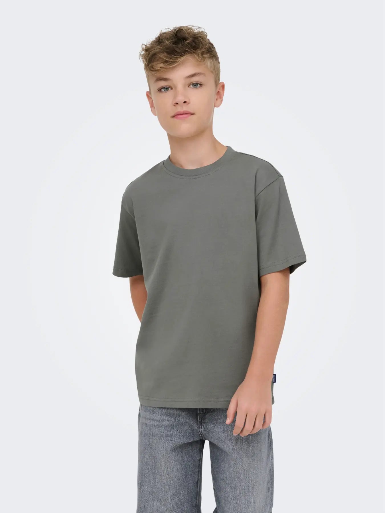 T-shirt Only & Sons OSJFRED Life RLX SS Castor Gray