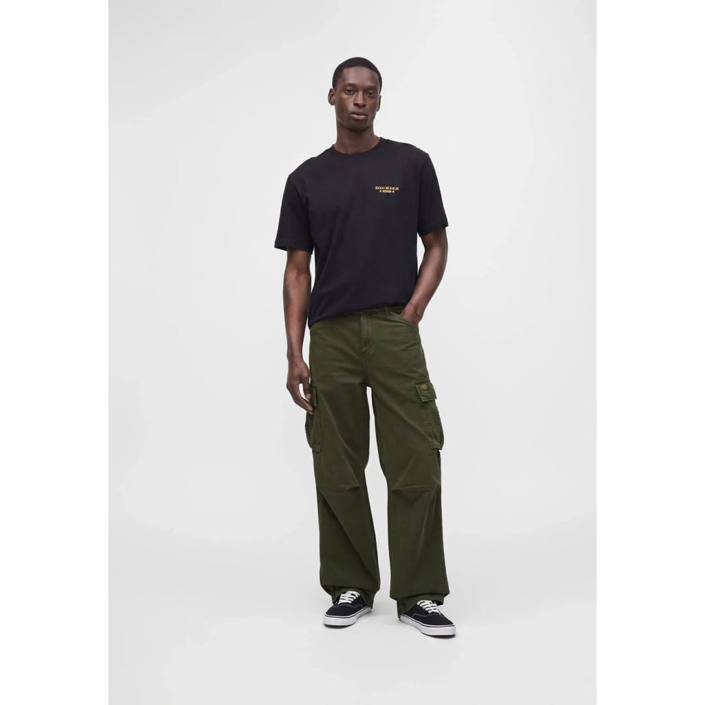 Pantalons Dickies 247 Loose STR GD Cargo Deep Depths