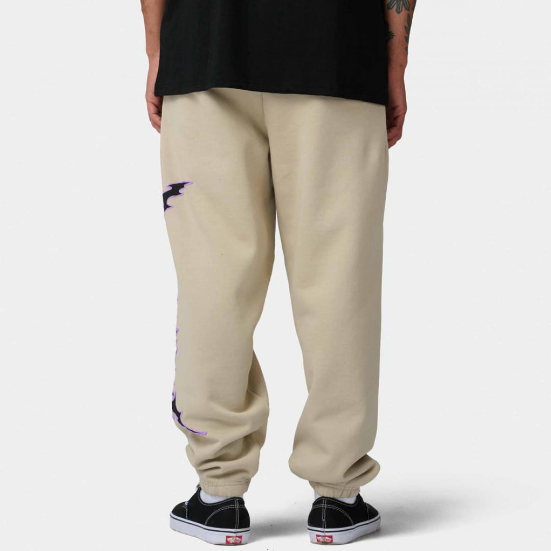 Pantalons Santa Cruz Out Of Time Jogger Stone Grey