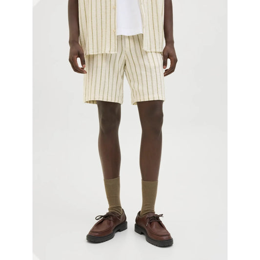 Short Jack & Jones JPSTJAIDEN Coba Stripe Jog Cedar