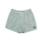 Short Quiksilver Everyday Deluxe Volley 15’’ Forest