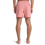Short Quiksilver Everyday Flex Volley 15’’ Desert Sand
