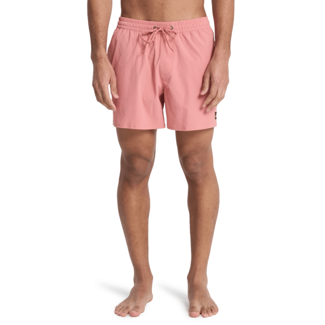 Short Quiksilver Everyday Flex Volley 15’’ Desert Sand