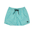 Short Quiksilver Everyday Printed Volley 15’’ Aqua Ocean