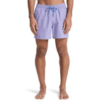 Short Quiksilver Everyday Volley 15’’ Daybreak