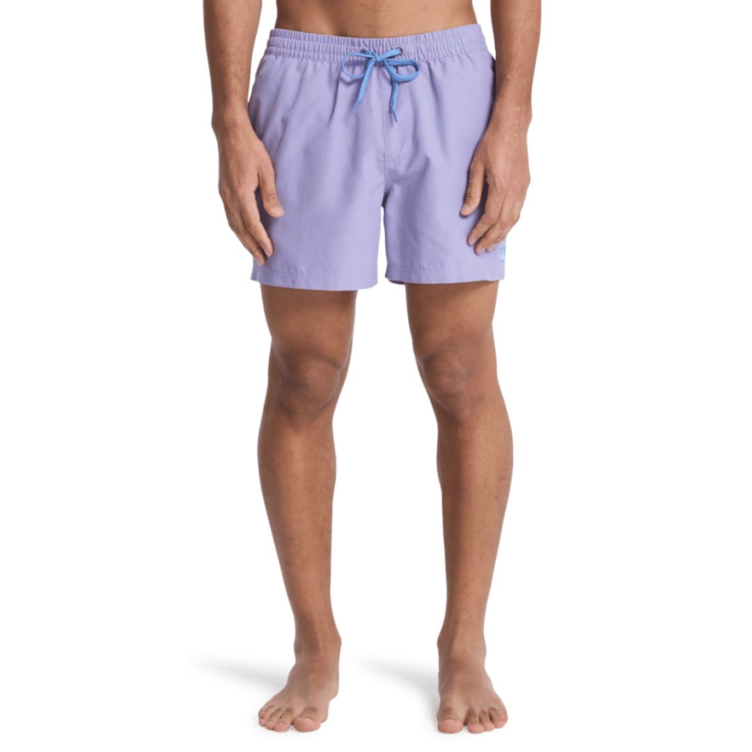 Short Quiksilver Everyday Volley 15’’ Daybreak
