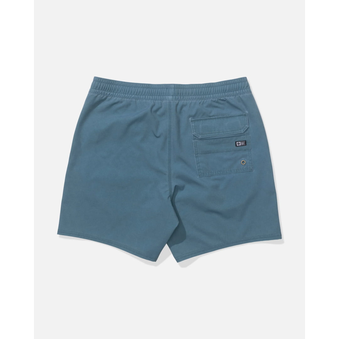 Short Salty Crew Seadog Volley Hydro - Insidshop.com
