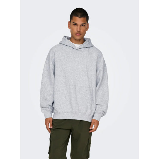 Sweat à Capuche Only & Sons Onsturner Life VTG Light Grey