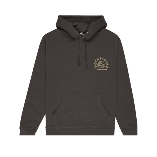 Sweat à Capuche Quiksilver Salt Water Graphic Iron Gate