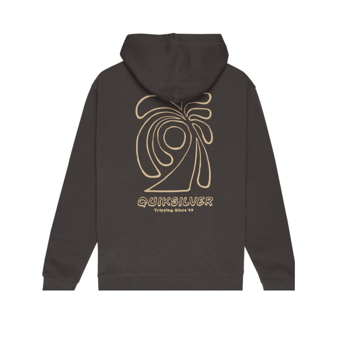 Sweat à Capuche Quiksilver Salt Water Graphic Iron Gate