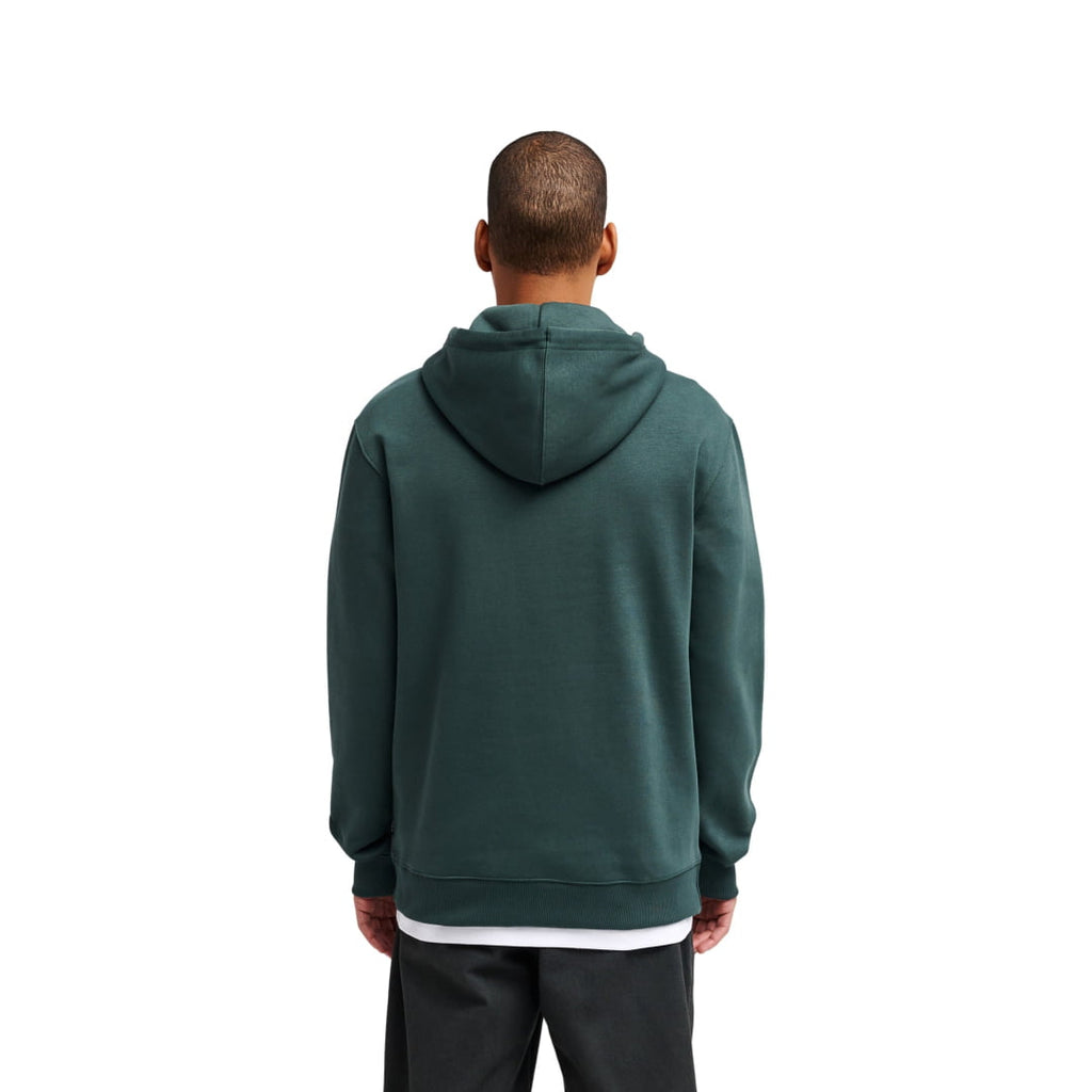 Sweat à Capuche RVCA Sanctum Wood - Insidshop.com