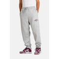 Sweatpant Reell Team Jasper Grey Melange - Insidshop.com