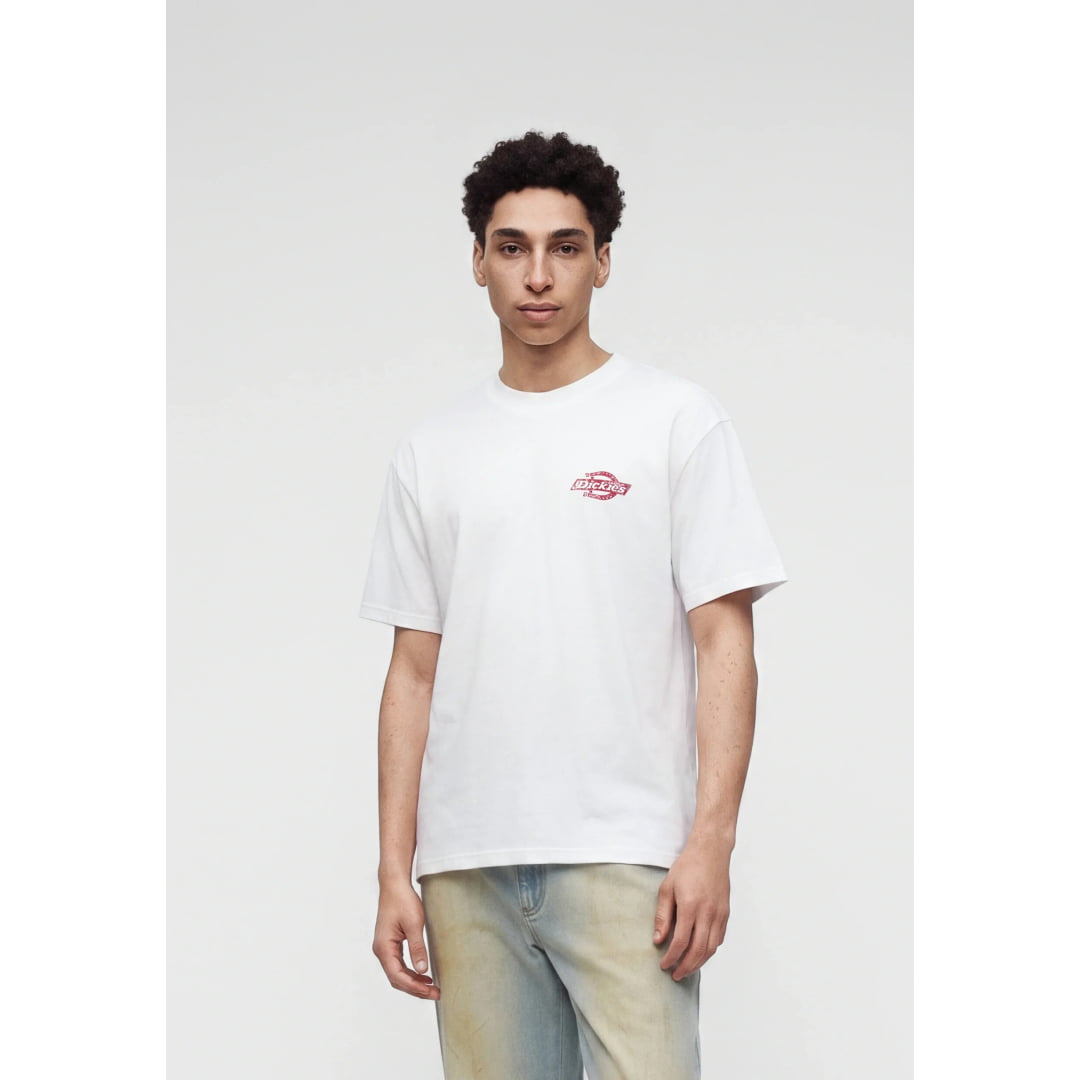 T-shirt Dickies Chinle SS White - Insidshop.com