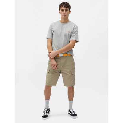 T-shirt Dickies Mapleton Grey Melange - Insidshop.com
