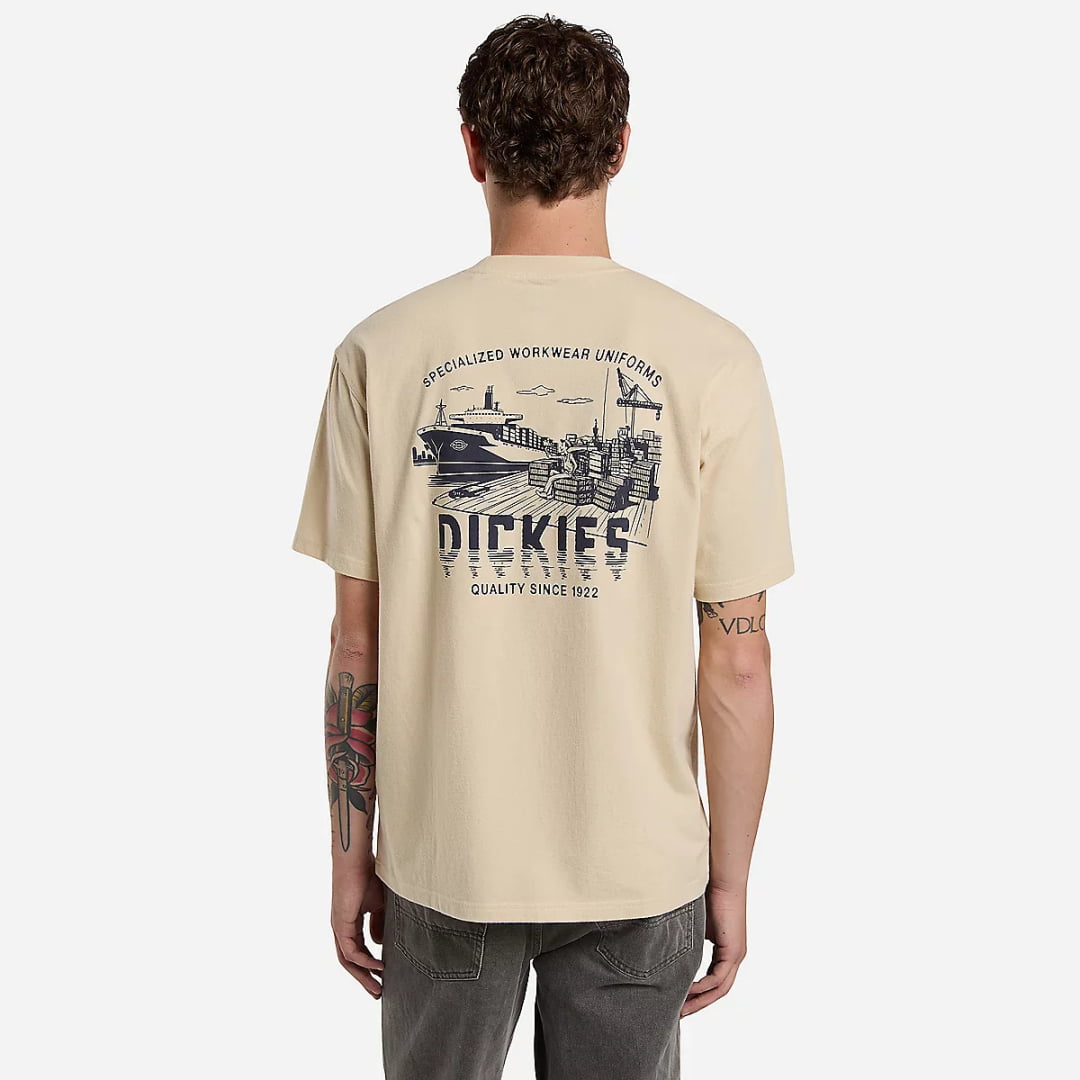 T-shirt Dickies Pelham Wood Ash - Insidshop.com