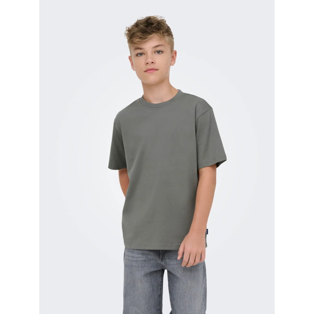 T-shirt Only & Sons OSJFRED Life RLX SS Castor Gray