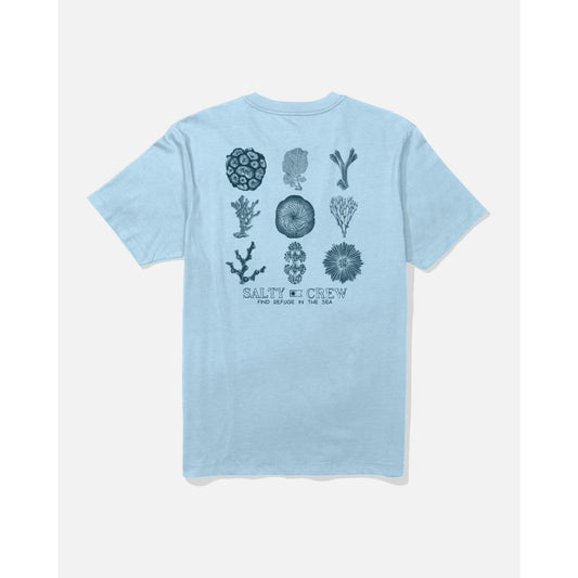 T-shirt Salty Crew Coral Head SS Clear Sky - Ss