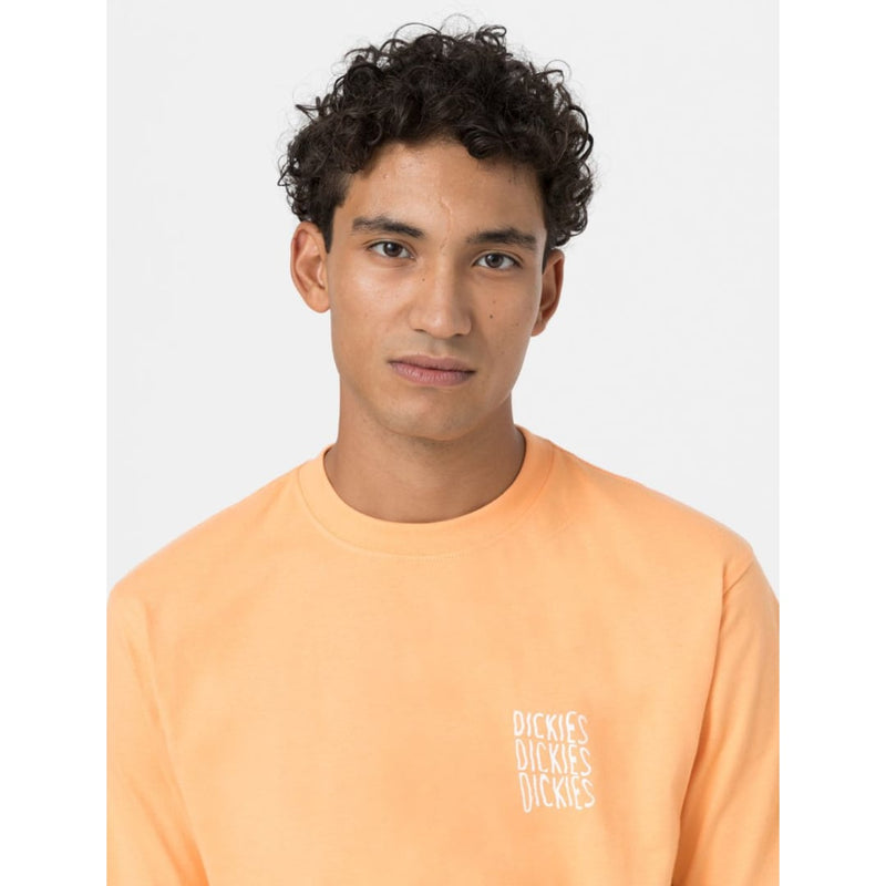 T-shirt Dickies Cresswell Papaya Smoothie - dickies